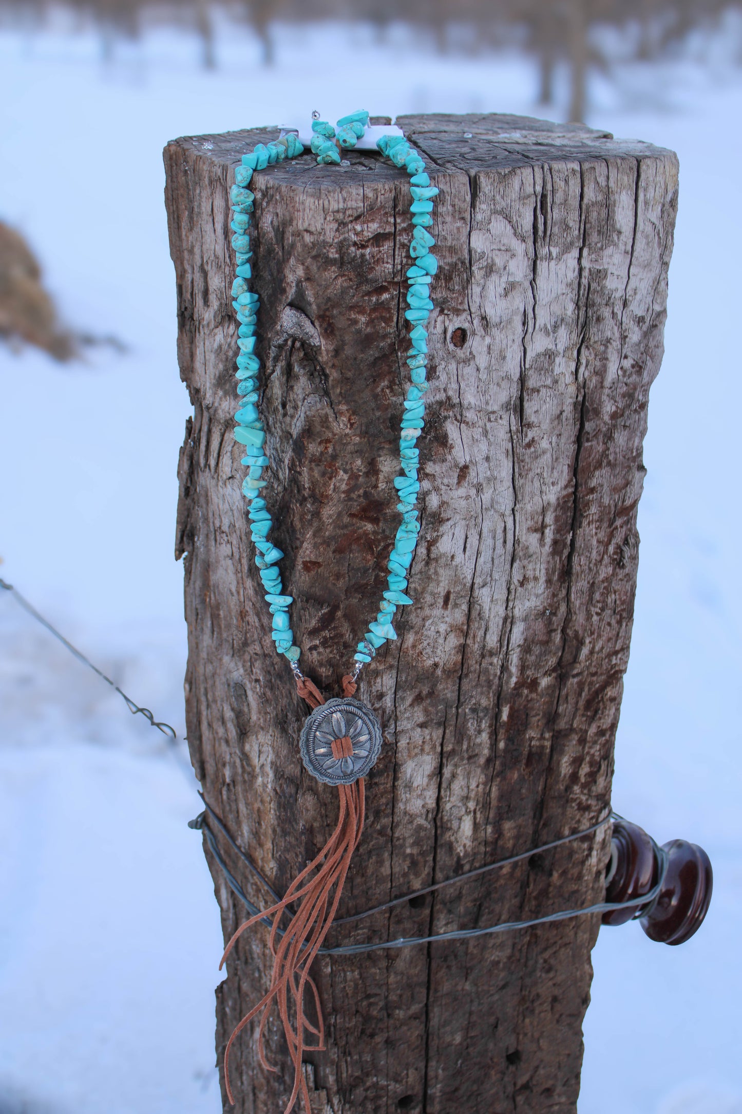 West & Co Western Turquoise Bolo set